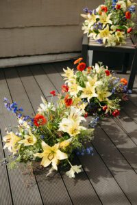 MackenzieGracePhotography